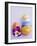 Chocolate Eggs in Foil, with Pansy-null-Framed Photographic Print