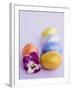 Chocolate Eggs in Foil, with Pansy-null-Framed Photographic Print