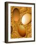 Chocolate Eggs-Ruth Palmer-Framed Art Print