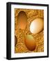 Chocolate Eggs-Ruth Palmer-Framed Art Print