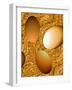 Chocolate Eggs-Ruth Palmer-Framed Art Print