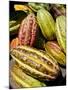 Chocolate Fruits From a Theobroma Cacao Tree, Madagascar, Africa-Michael Runkel-Mounted Photographic Print