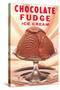 Chocolate Fudge Ice Cream-null-Stretched Canvas