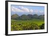 Chocolate Hills, Bohol Island, Philippines-Keren Su-Framed Photographic Print