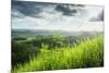 Chocolate Hills, Bohol, Philippines, Southeast Asia, Asia-Michael Runkel-Mounted Photographic Print