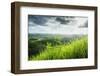 Chocolate Hills, Bohol, Philippines, Southeast Asia, Asia-Michael Runkel-Framed Photographic Print