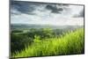 Chocolate Hills, Bohol, Philippines, Southeast Asia, Asia-Michael Runkel-Mounted Photographic Print