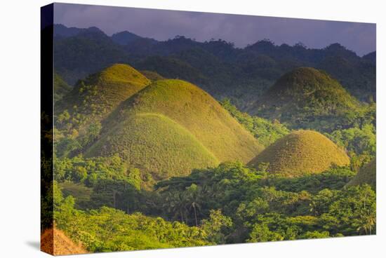 Chocolate Hills, Bohol, Philippines-Michael Runkel-Stretched Canvas