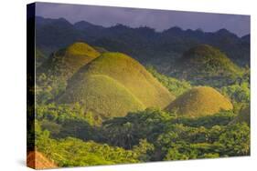 Chocolate Hills, Bohol, Philippines-Michael Runkel-Stretched Canvas