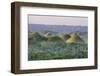 Chocolate Hills, Bohol, Philippines-Michael Runkel-Framed Photographic Print