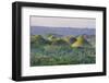 Chocolate Hills, Bohol, Philippines-Michael Runkel-Framed Photographic Print