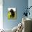 Chocolate Lab Puppy-Jim Craigmyle-Mounted Photographic Print displayed on a wall