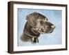 Chocolate Lab-Rusty Frentner-Framed Giclee Print