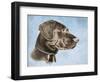 Chocolate Lab-Rusty Frentner-Framed Giclee Print