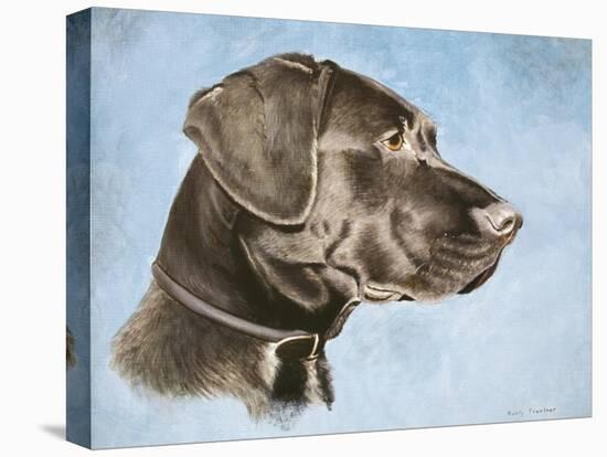 Chocolate Lab-Rusty Frentner-Stretched Canvas