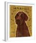 Chocolate Labradoodle-John Golden-Framed Giclee Print