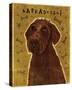 Chocolate Labradoodle-John Golden-Stretched Canvas