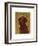 Chocolate Labradoodle-John W^ Golden-Framed Art Print