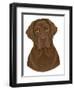 Chocolate Labrador Portrait-Tomoyo Pitcher-Framed Giclee Print