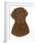 Chocolate Labrador Portrait-Tomoyo Pitcher-Framed Giclee Print