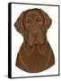 Chocolate Labrador Portrait-Tomoyo Pitcher-Framed Stretched Canvas