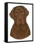 Chocolate Labrador Portrait-Tomoyo Pitcher-Framed Stretched Canvas