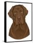 Chocolate Labrador Portrait-Tomoyo Pitcher-Framed Stretched Canvas