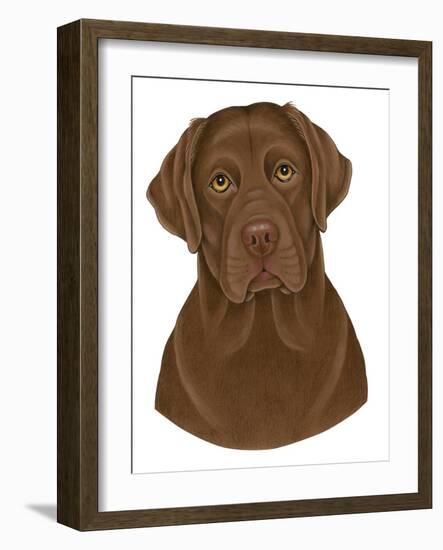 Chocolate Labrador Portrait-Tomoyo Pitcher-Framed Giclee Print