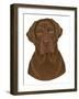 Chocolate Labrador Portrait-Tomoyo Pitcher-Framed Giclee Print