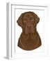 Chocolate Labrador Portrait-Tomoyo Pitcher-Framed Giclee Print