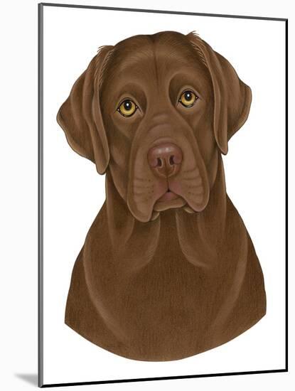 Chocolate Labrador Portrait-Tomoyo Pitcher-Mounted Giclee Print