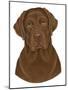 Chocolate Labrador Portrait-Tomoyo Pitcher-Mounted Giclee Print