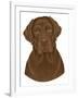 Chocolate Labrador Portrait-Tomoyo Pitcher-Framed Giclee Print