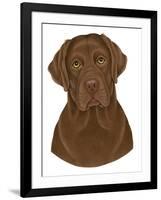 Chocolate Labrador Portrait-Tomoyo Pitcher-Framed Giclee Print
