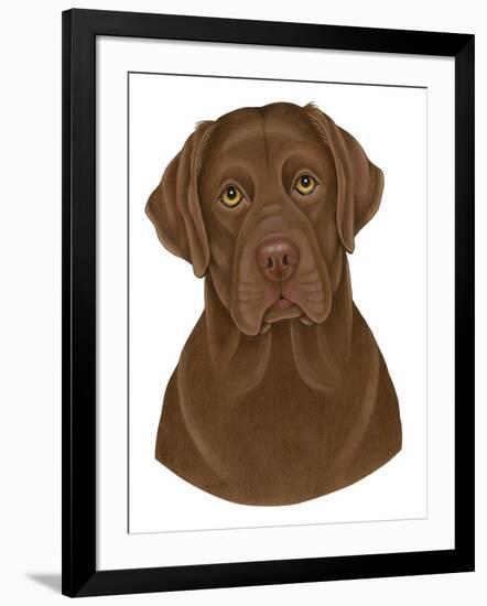 Chocolate Labrador Portrait-Tomoyo Pitcher-Framed Giclee Print