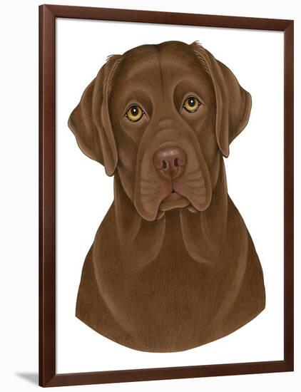 Chocolate Labrador Portrait-Tomoyo Pitcher-Framed Giclee Print