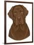 Chocolate Labrador Portrait-Tomoyo Pitcher-Framed Giclee Print