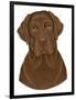 Chocolate Labrador Portrait-Tomoyo Pitcher-Framed Giclee Print