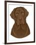 Chocolate Labrador Portrait-Tomoyo Pitcher-Framed Giclee Print