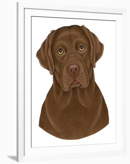 Chocolate Labrador Portrait-Tomoyo Pitcher-Framed Giclee Print