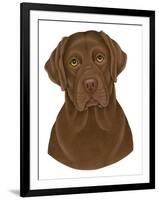 Chocolate Labrador Portrait-Tomoyo Pitcher-Framed Giclee Print