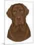 Chocolate Labrador Portrait-Tomoyo Pitcher-Mounted Giclee Print