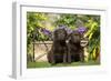 Chocolate Labrador Puppies-null-Framed Photographic Print