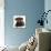 Chocolate Labrador Puppy, 3 Months, Lying-Mark Taylor-Mounted Photographic Print displayed on a wall