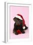 Chocolate Labrador Puppy Lying Down with Rose-null-Framed Photographic Print