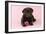 Chocolate Labrador Puppy Lying Down with Rose-null-Framed Photographic Print