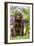 Chocolate Labrador Puppy Outside in Garden-null-Framed Photographic Print