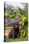 Chocolate Labrador Puppy-null-Stretched Canvas