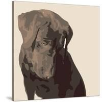 Chocolate Labrador-Emily Burrowes-Stretched Canvas