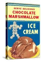 Chocolate Marshmallow Ice Cream-null-Stretched Canvas